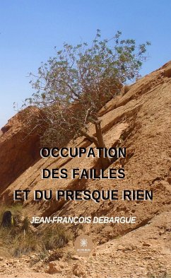 Occupation des failles et du presque rien (eBook, ePUB) - Debargue, Jean-François