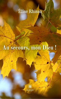 Au secours, mon Dieu ! (eBook, ePUB) - Rhisso, Élise