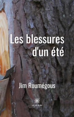 Les blessures d'un été - Jim Roumégous