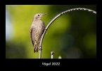Vögel 2022 Fotokalender DIN A3