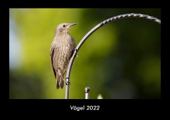 Vögel 2022 Fotokalender DIN A3 - Tobias Becker
