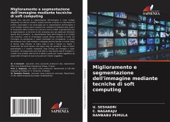 Miglioramento e segmentazione dell'immagine mediante tecniche di soft computing - SESHADRI, U.;Nagaraju, C.;PEMULA, RAMBABU