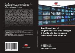 Amélioration et segmentation des images à l'aide de techniques informatiques douces - SESHADRI, U.;Nagaraju, C.;PEMULA, RAMBABU