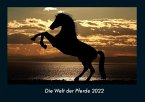 Die Welt der Pferde 2022 Fotokalender DIN A4