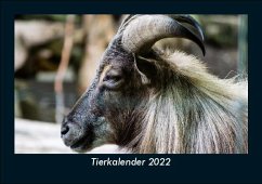Tierkalender 2022 Fotokalender DIN A5 - Tobias Becker
