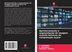 Cover Aprimoramento e segmentação de imagem usando técnicas de computação suave