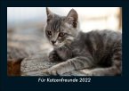 Für Katzenfreunde 2022 Fotokalender DIN A5