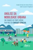 Análise da Mobilidade Urbana em Cidades de Porte Médio por Meio da Sintaxe Espacial (eBook, ePUB)