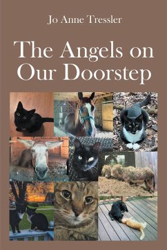 The Angels on Our Doorstep (eBook, ePUB) - Tressler, Jo Anne