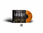 Run (Orange/Black Marbled Lp)