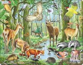 Puzzle - Europäischer Wald Puzzle - Europäischer Wald