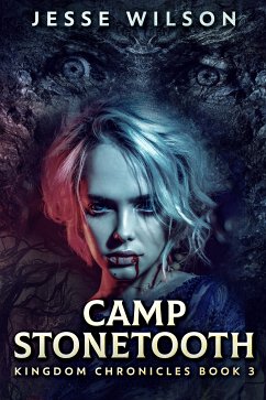 Camp Stonetooth (eBook, ePUB) - Wilson, Jesse