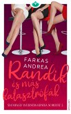 Randik és más katasztrófák (eBook, ePUB)