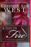 A Test of Fire : A Pride and Prejudice Variation Novel (eBook, ePUB)