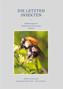 Die letzten Insekten - Geissmann, Werner