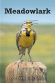 Meadowlark (eBook, ePUB)