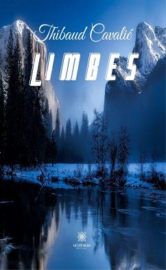 Limbes (eBook, ePUB) - Cavalié, Thibaud