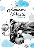 Le jumeau perdu (eBook, ePUB)