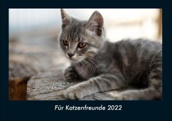 Für Katzenfreunde 2022 Fotokalender DIN A4 - Tobias Becker