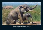 Tiere in der Wildnis 2022 Fotokalender DIN A5