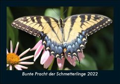 Bunte Pracht der Schmetterlinge 2022 Fotokalender DIN A5 - Tobias Becker