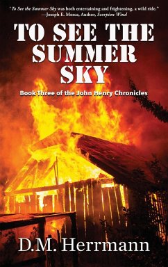 To See the Summer Sky - Herrmann, D. M.