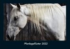 Pferdegeflüster 2022 Fotokalender DIN A4