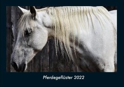 Pferdegeflüster 2022 Fotokalender DIN A4 - Tobias Becker