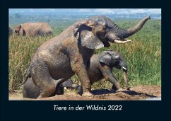 Tiere in der Wildnis 2022 Fotokalender DIN A4 - Tobias Becker