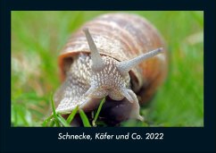 Schnecke, Käfer und Co. 2022 Fotokalender DIN A4 - Tobias Becker