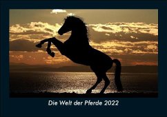 Die Welt der Pferde 2022 Fotokalender DIN A5 - Tobias Becker