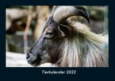 Tierkalender 2022 Fotokalender DIN A4