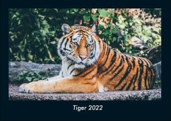 Tiger 2022 Fotokalender DIN A4 - Tobias Becker