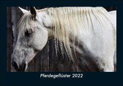 Pferdegeflüster 2022 Fotokalender DIN A5 - Tobias Becker