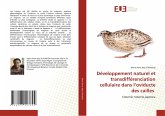 Développement naturel et transdifférenciation cellulaire dans l¿oviducte des cailles