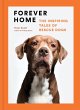 Forever Home (eBook, ePUB) - Bild 1