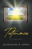 Testimonies (eBook, ePUB)