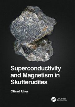 Cover Superconductivity and Magnetism in Skutterudites (eBook, PDF)