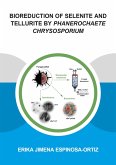 Bioreduction of Selenite and Tellurite by Phanerochaete Chrysosporium (eBook, ePUB)