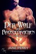 Der Wolf des Bronzedrachen (eBook, ePUB) - Bild 1