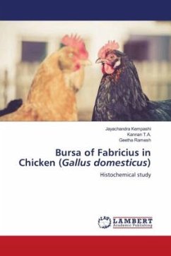Bursa of Fabricius in Chicken (Gallus domesticus)