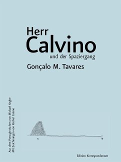 Herr Calvino und der Spaziergang - Tavares, Gonçalo M.