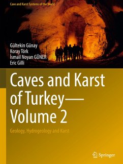 Caves and Karst of Turkey - Volume 2 - Günay, Gültekin;Törk, Koray;GÜNER, Ismail Noyan