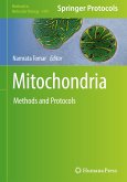 Mitochondria