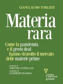 Materia rara. Come la pandemia e il green deal hanno stravolto il mercato delle materie prime (eBook, ePUB)