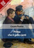 Prima che il gallo canti (eBook, ePUB)