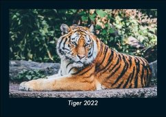 Tiger 2022 Fotokalender DIN A5 - Tobias Becker