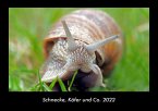 Schnecke, Käfer und Co. 2022 Fotokalender DIN A3