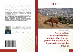 Vulnérabilités environnementales urbaines liées à la me-gestion des espaces dans les quartiers de Lemba Terminus - NKATE TSHIESESE, Sylvain