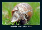 Schnecke, Käfer und Co. 2022 Fotokalender DIN A5